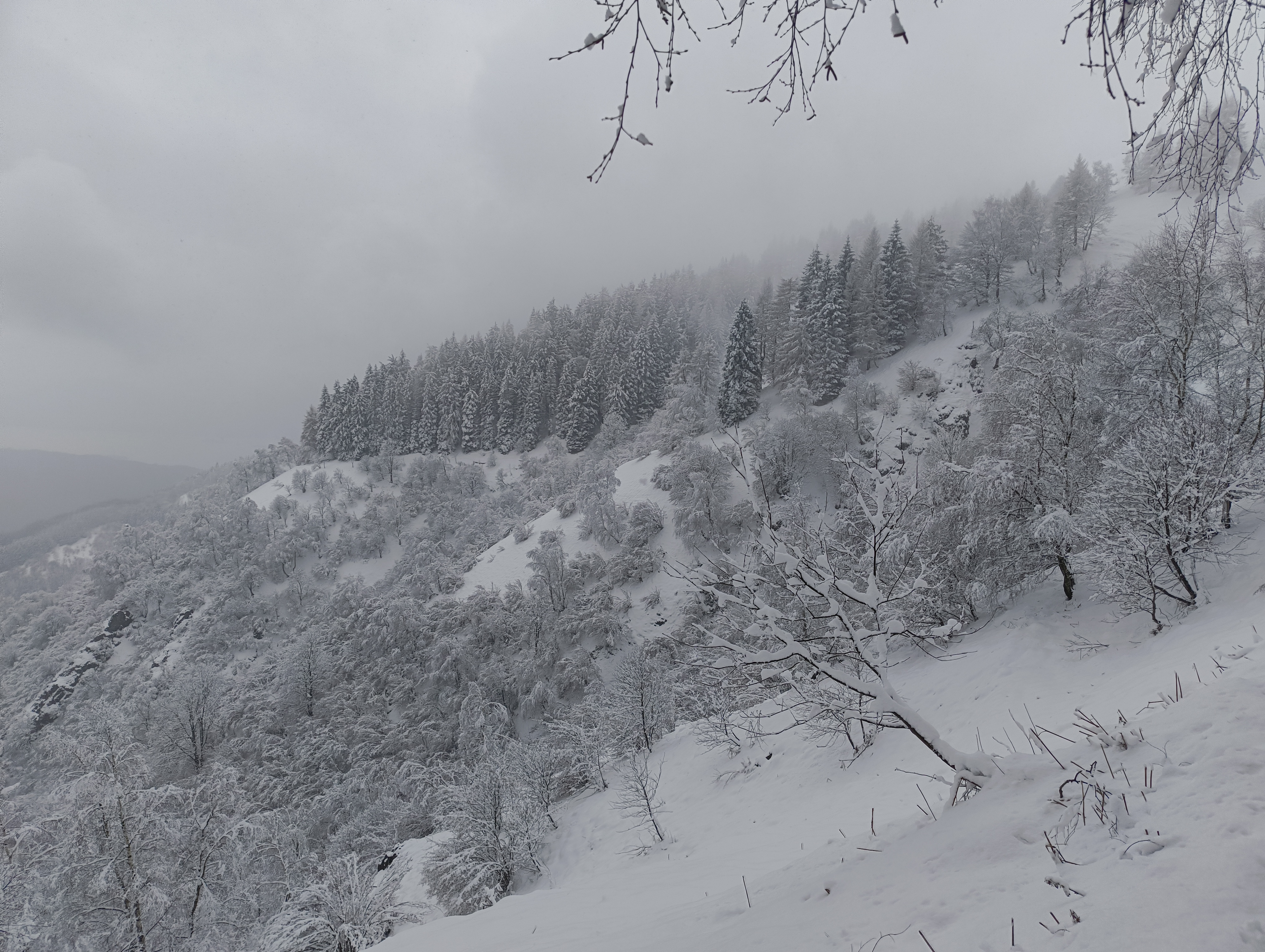 Foto n° 27 del trekking Bivacco del Gufo - Pizzo Pernice │ Alpe Curgei